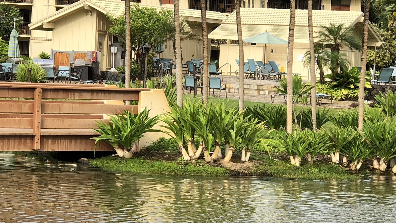 Photo of Outdoor in Hanamaulu