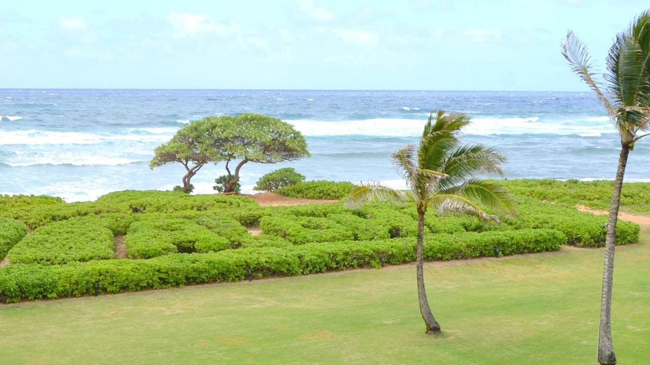 Photo of Others in Hanamaulu