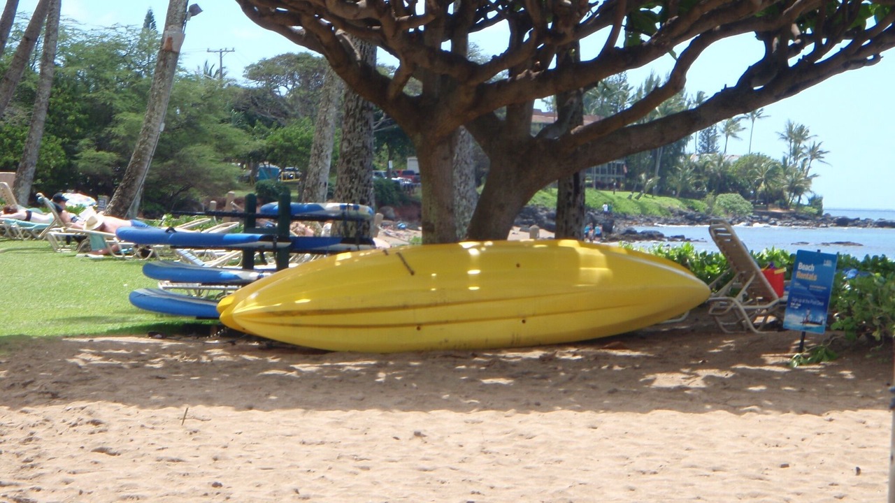 Photo of Others in Kahana