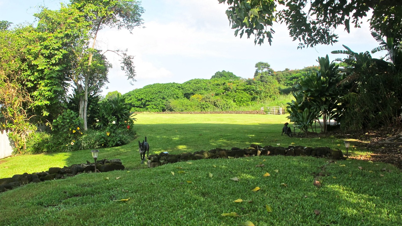 Photo of Others in Holualoa