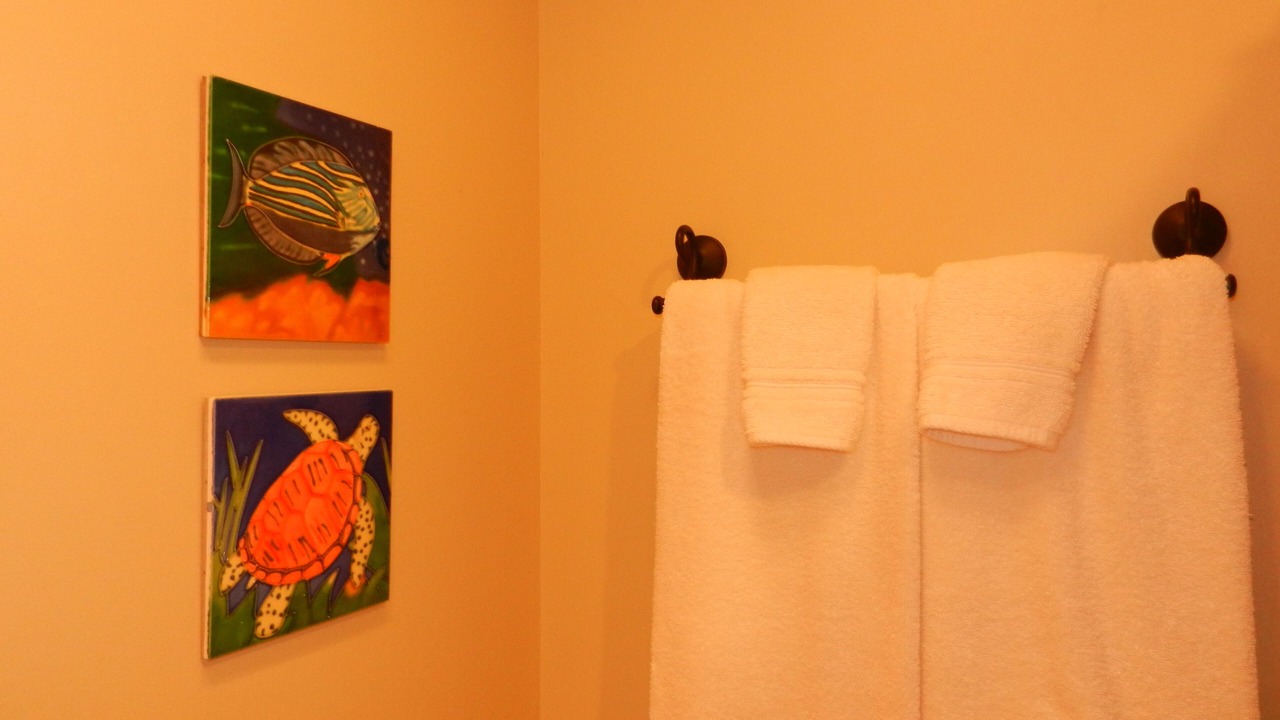 Photo of Bathroom in Kaanapali