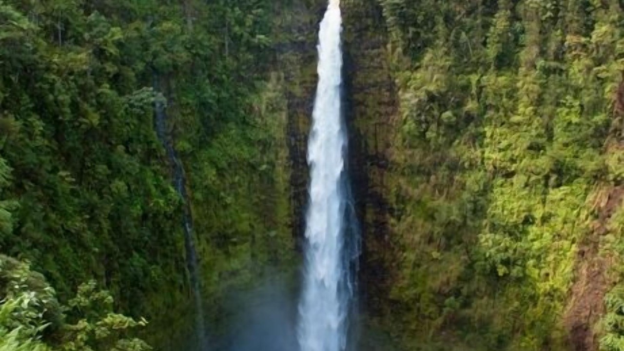 Photo of Others in Honomu
