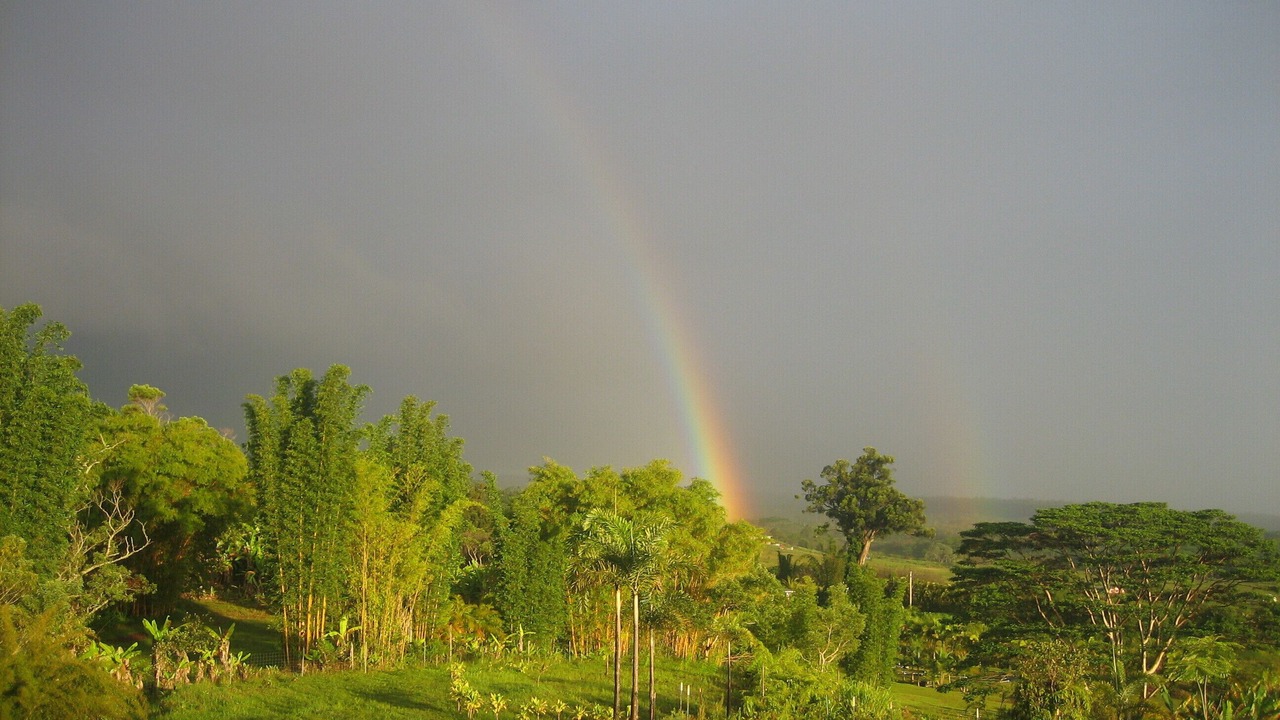 Photo of Others in Honomu