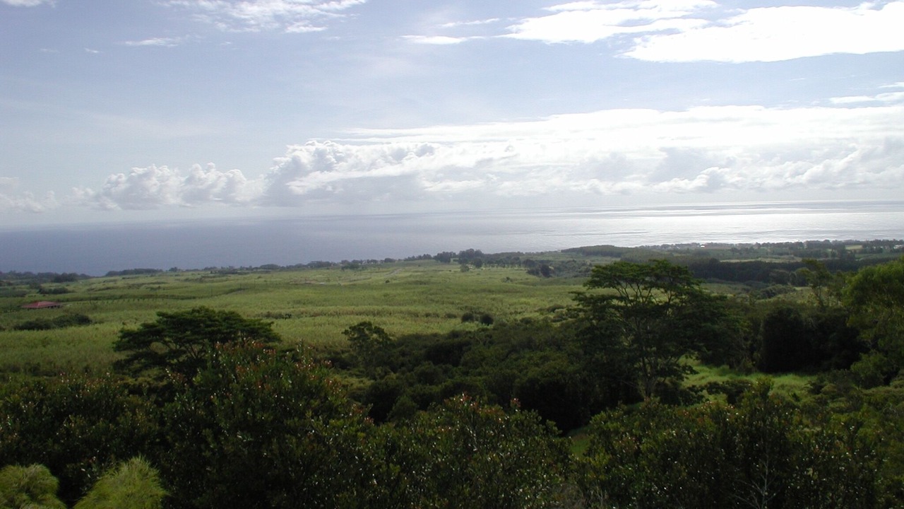 Photo of Others in Honomu