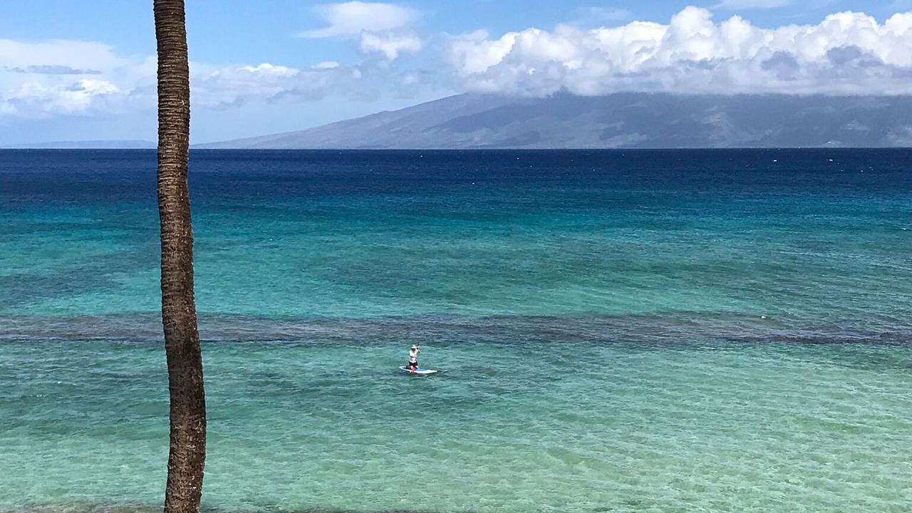 Photo of Others in Honokowai