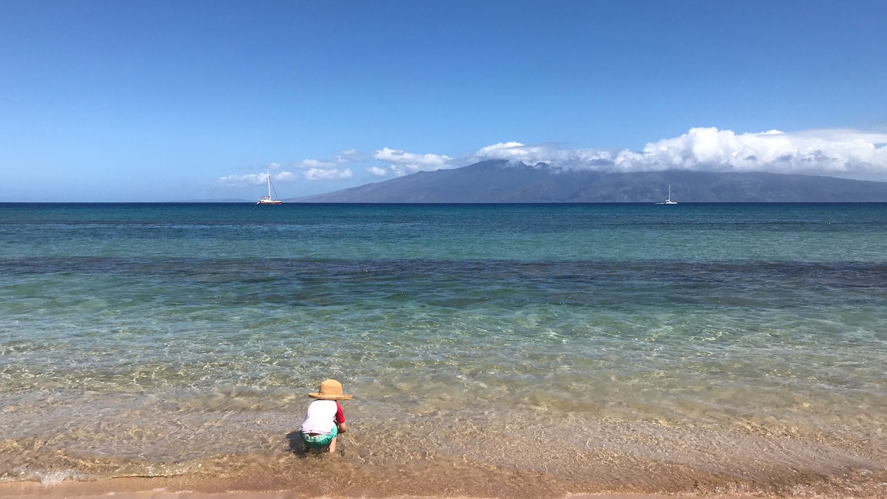 Photo of Others in Honokowai