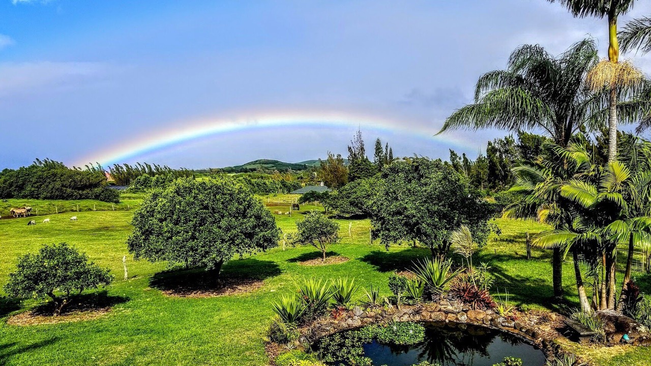 Photo of Others in Hawi