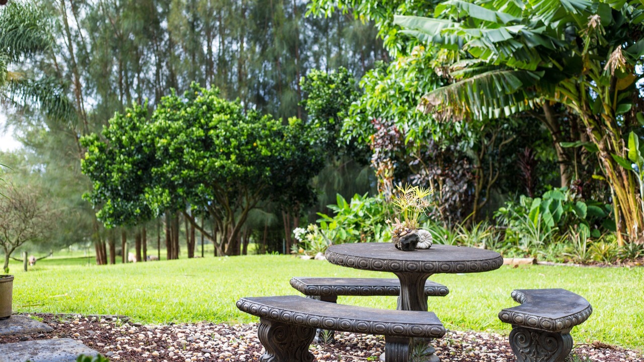 Photo of Outdoor in Hawi