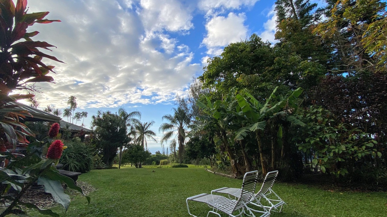 Photo of Outdoor in Hawi
