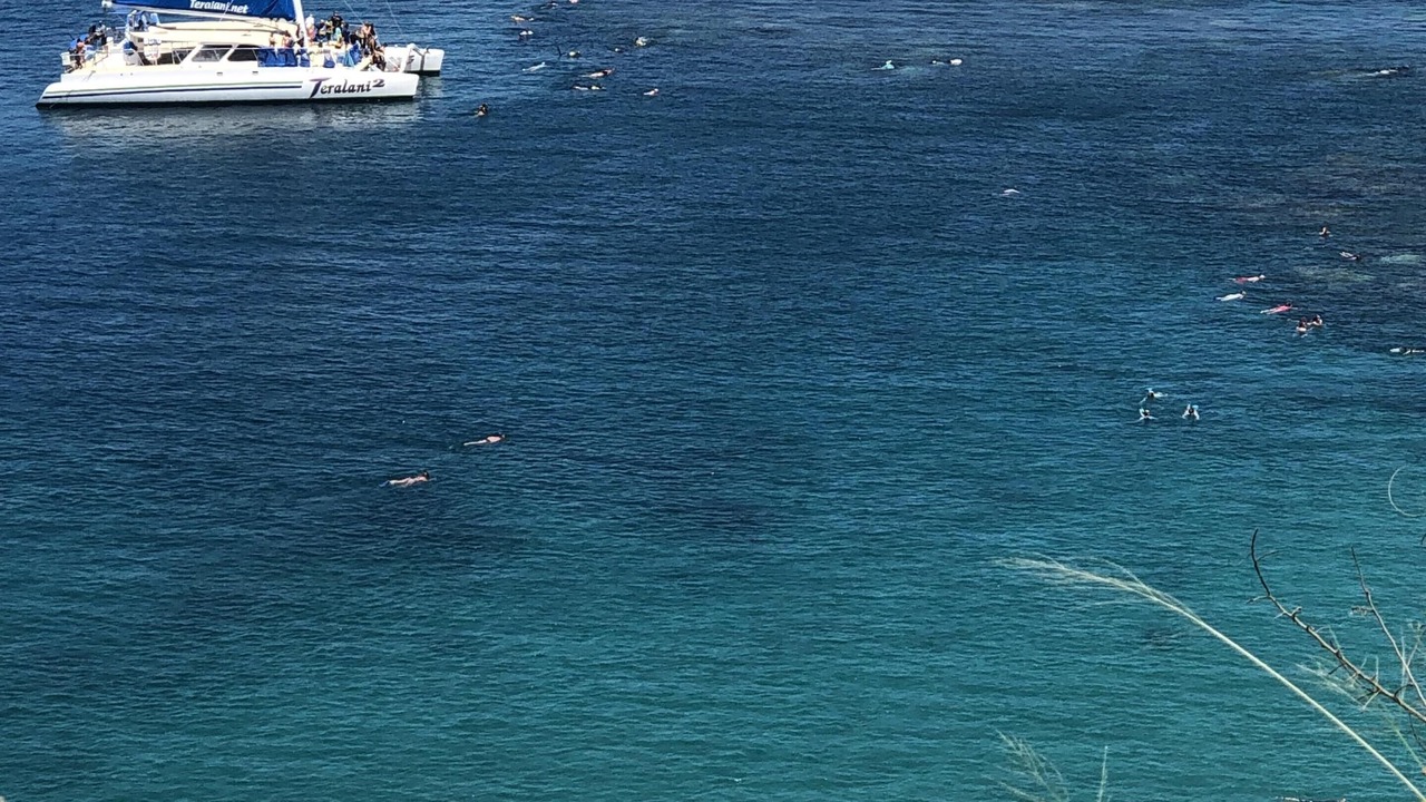 Photo of Others in Kahana