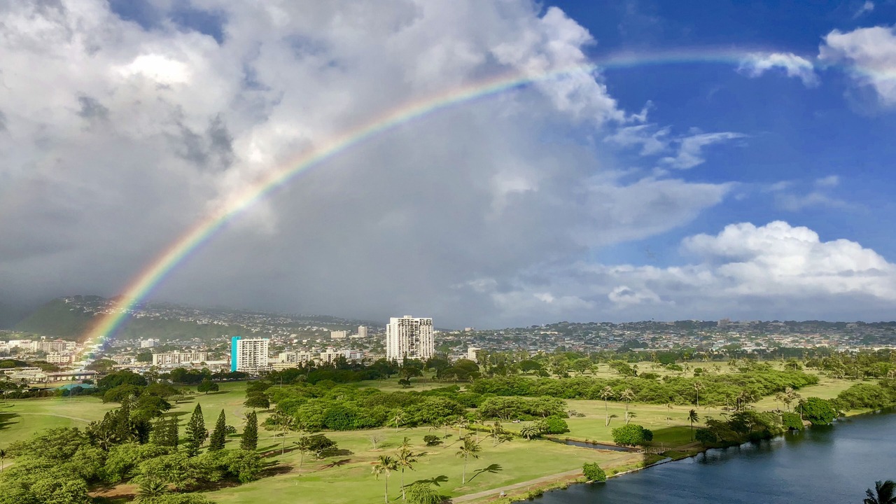 Photo of Others in Waikiki