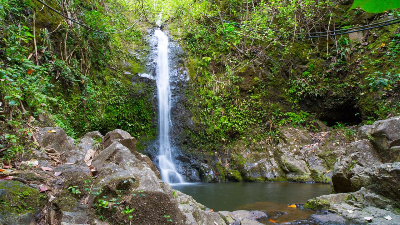 Photo of Outdoor in Honokaa