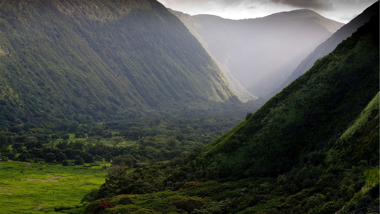 Photo of Others in Honokaa