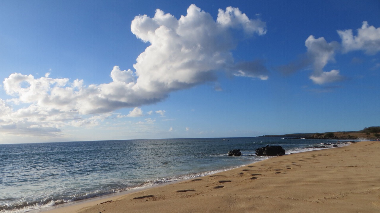 Photo of Others in Maunaloa