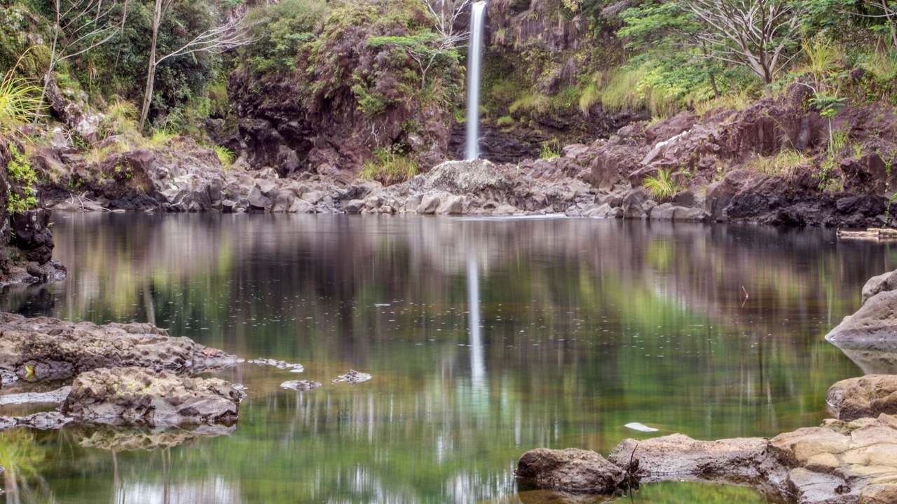 Photo of Others in Hilo
