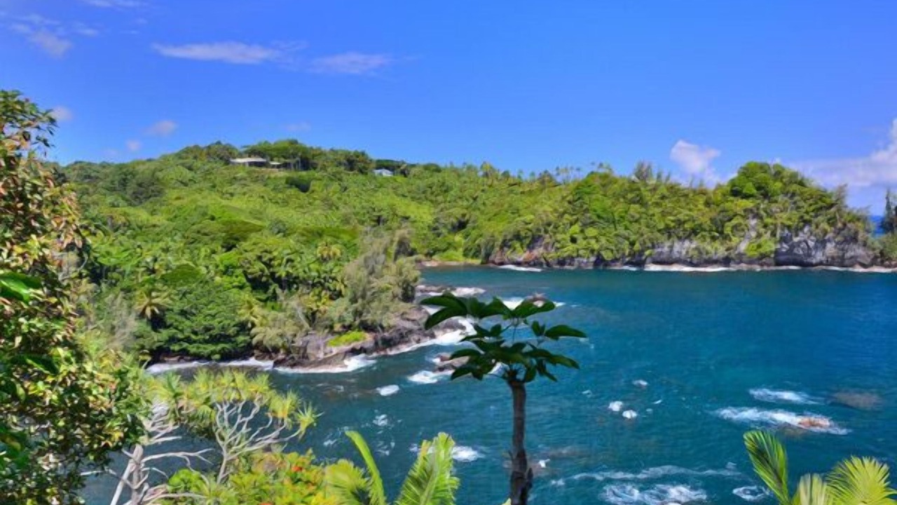 Photo of Others in Hilo