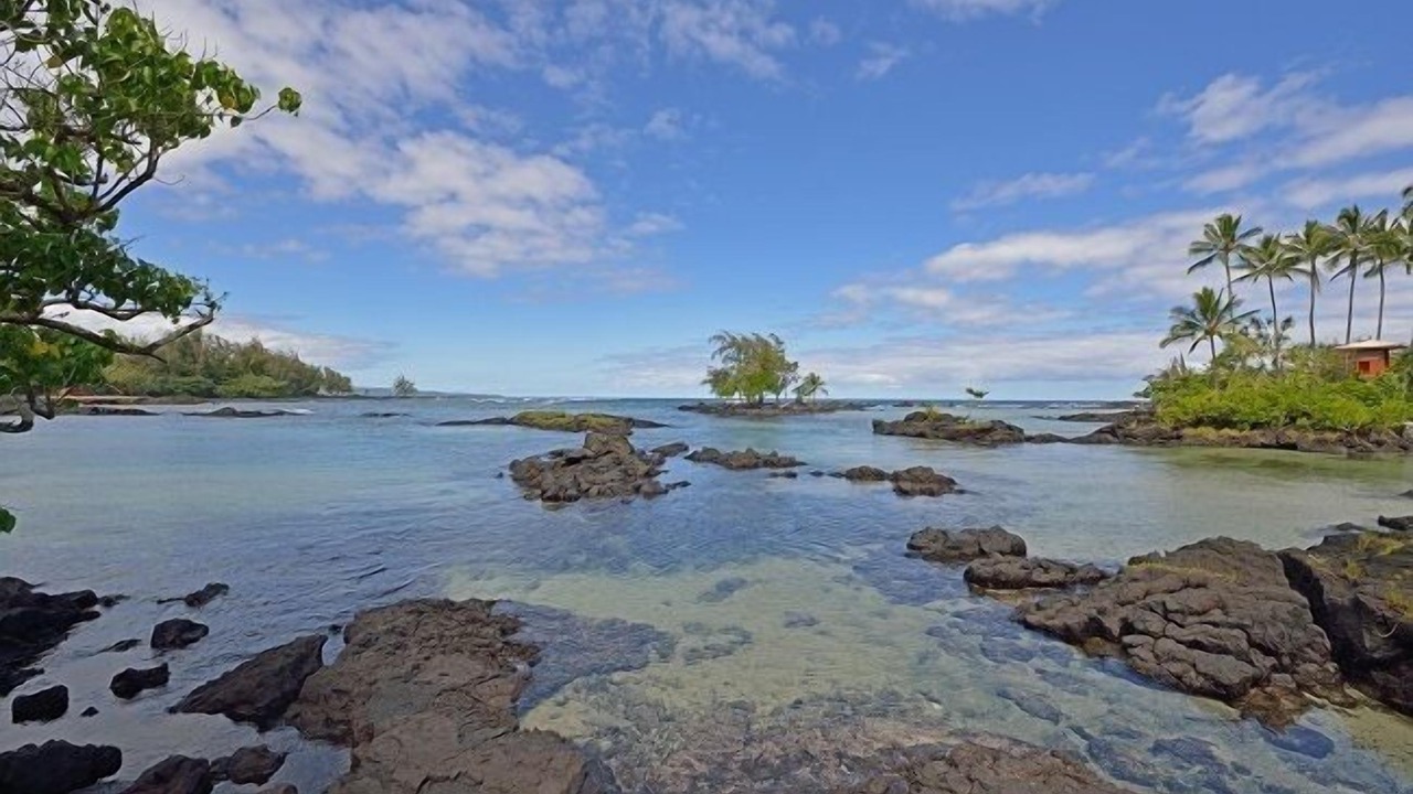 Photo of Others in Hilo