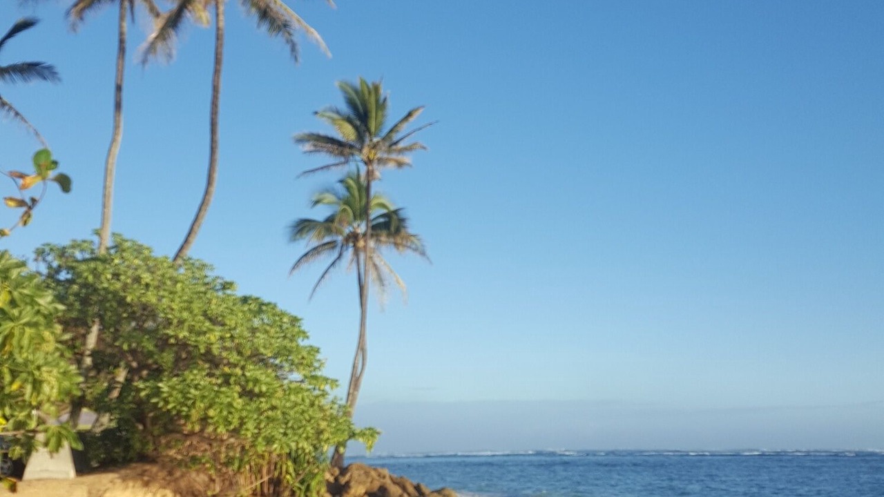 Photo of Others in Ka'a'awa