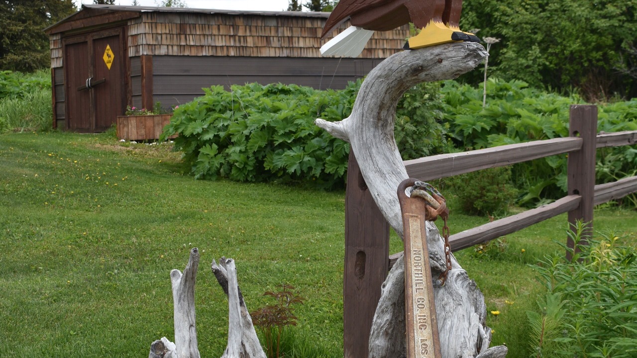 Photo of Outdoor in Fritz Creek