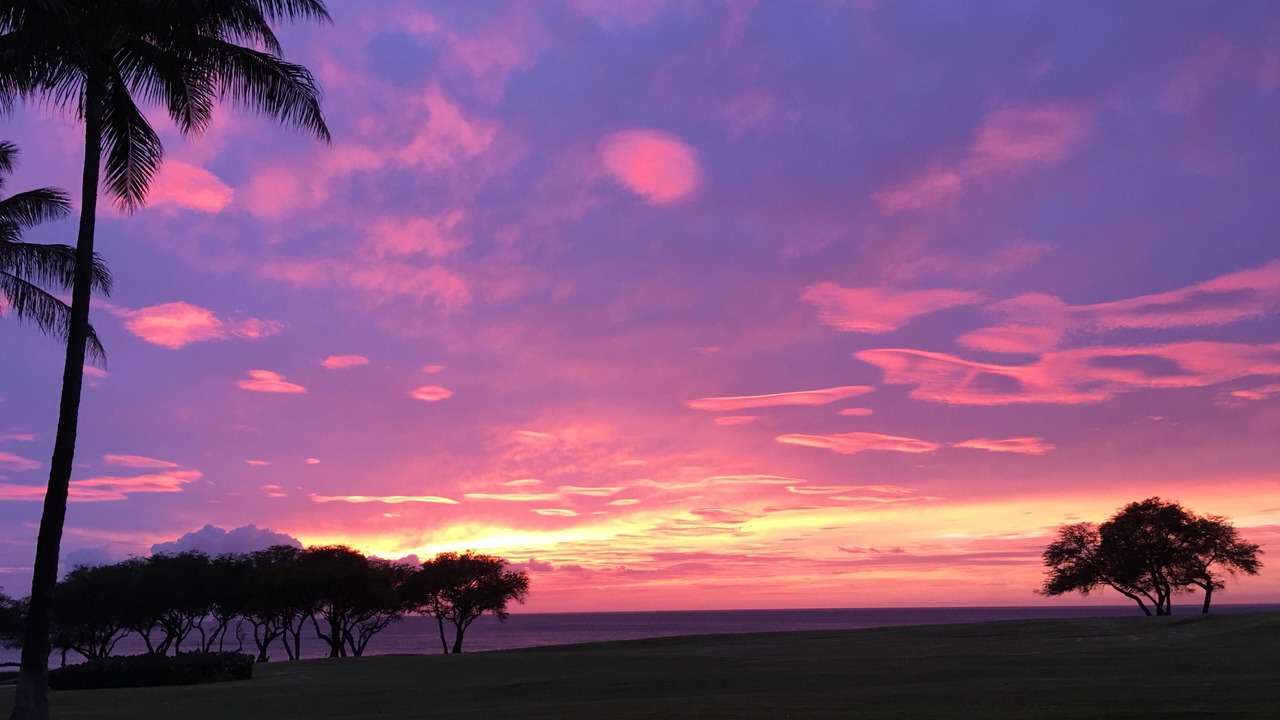 Photo of Others in Ko Olina