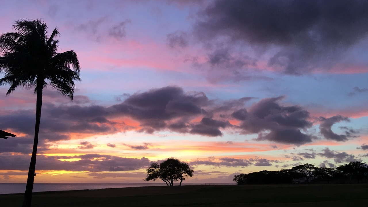 Photo of Others in Ko Olina