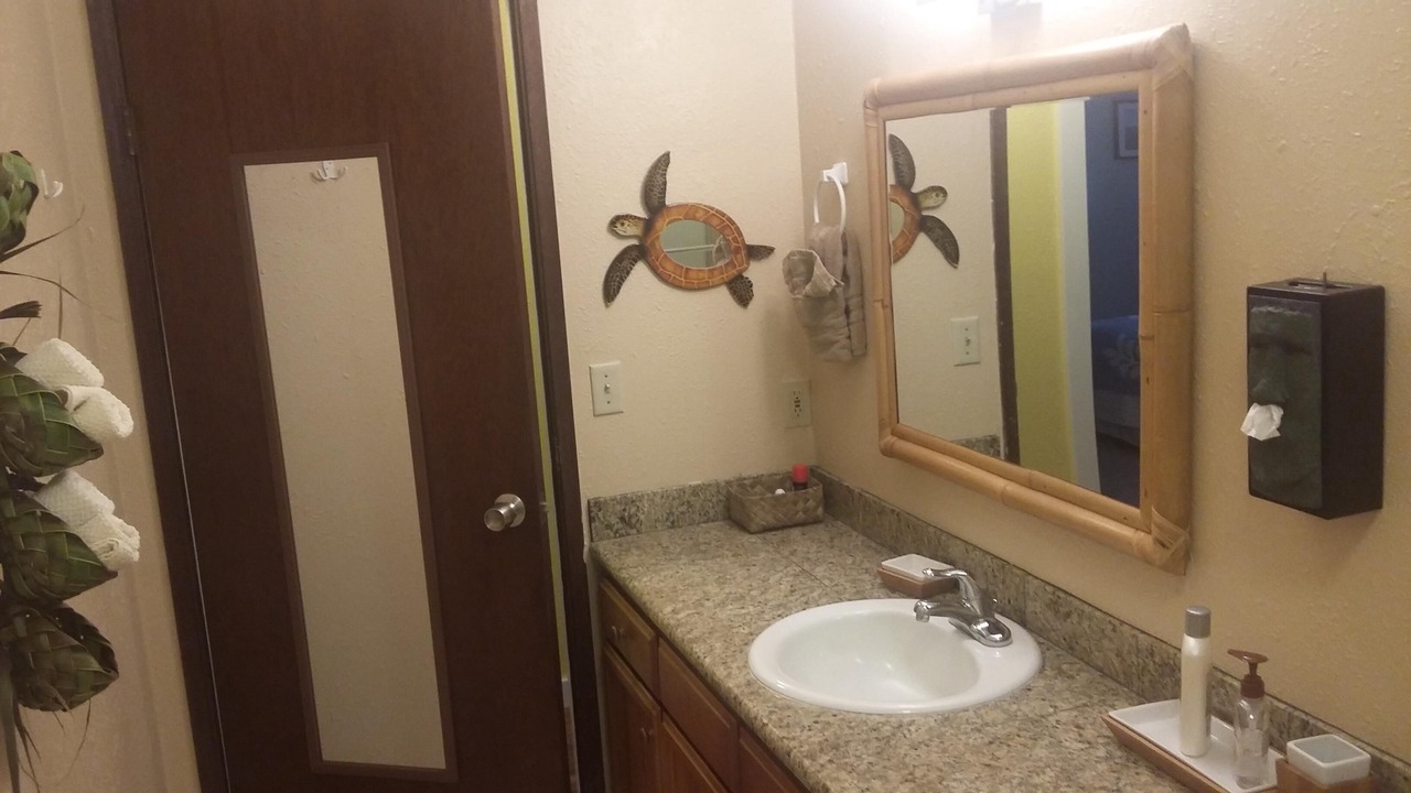 Photo of Bathroom in Kapoho