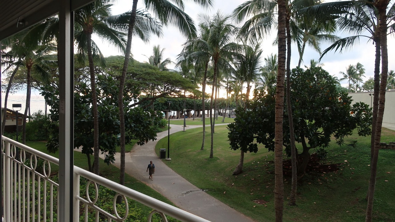 Photo of Outdoor in Waikiki
