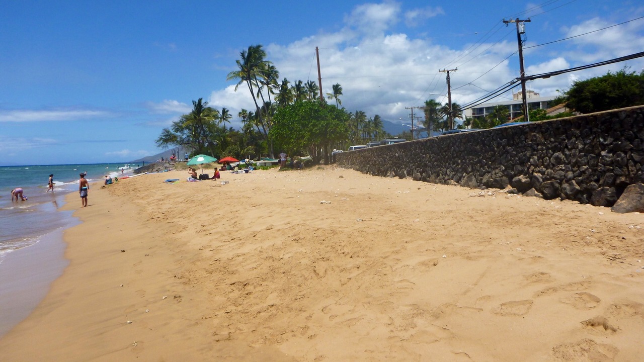 Photo of Others in Kihei