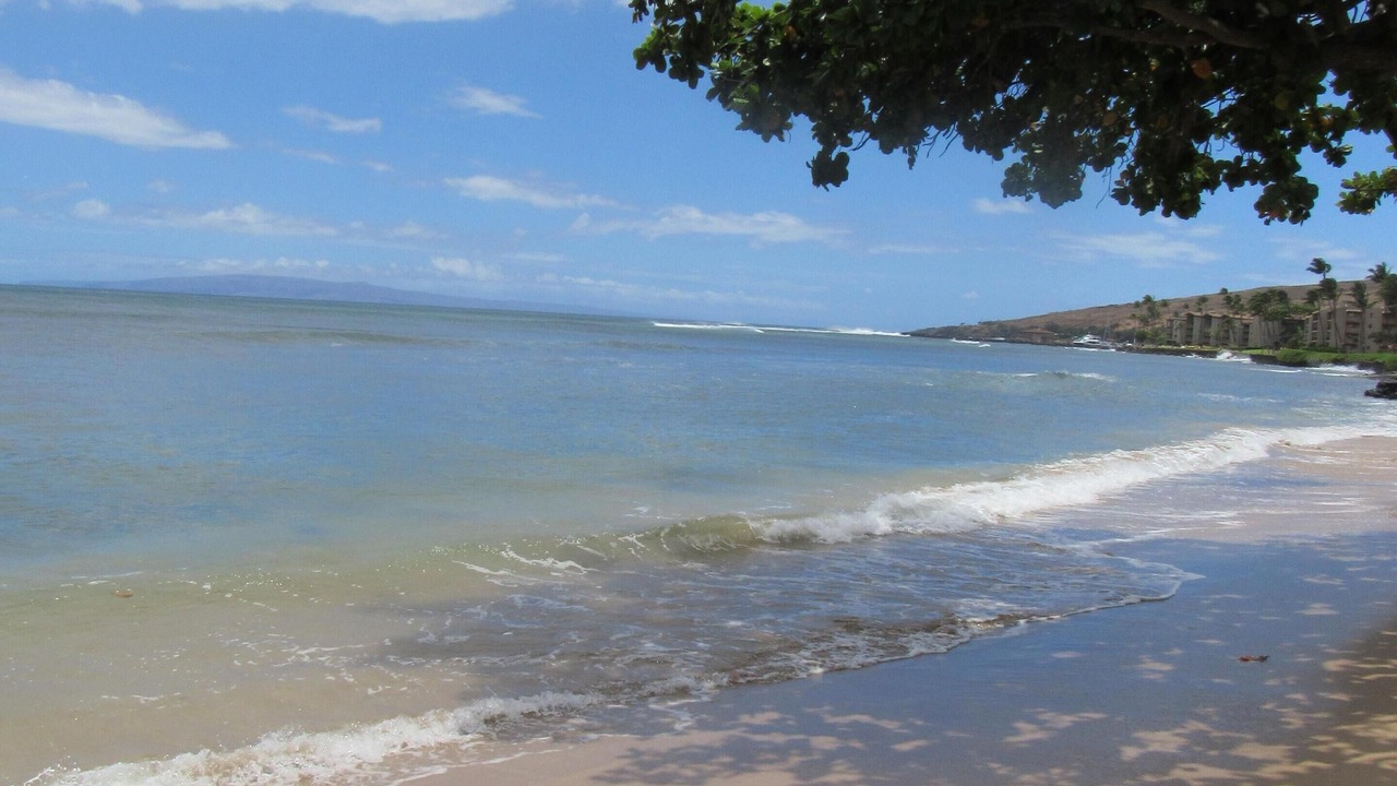 Photo of Others in Maalaea