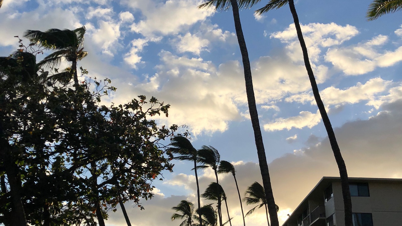 Photo of Outdoor in Maalaea