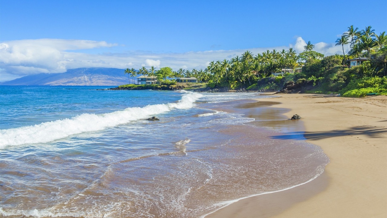 Photo of Others in Wailea