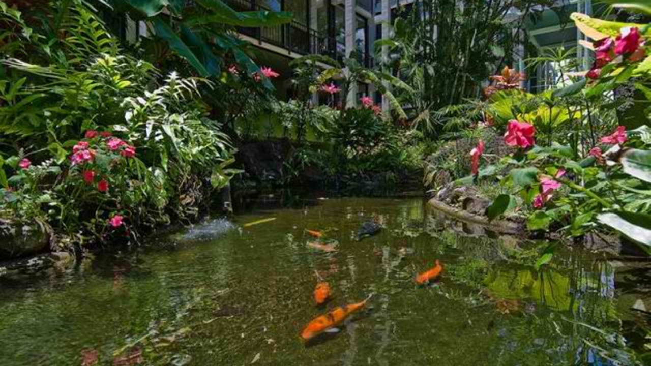 Photo of Outdoor in Waialae Iki