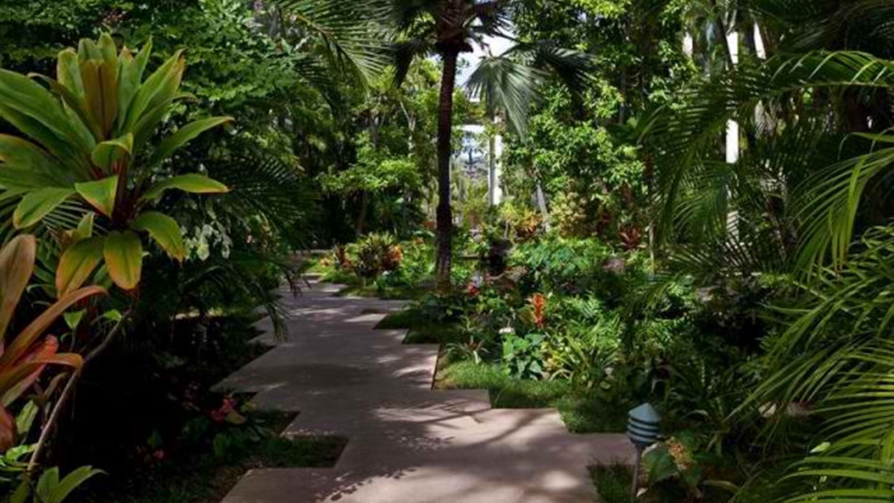 Photo of Outdoor in Waialae Iki