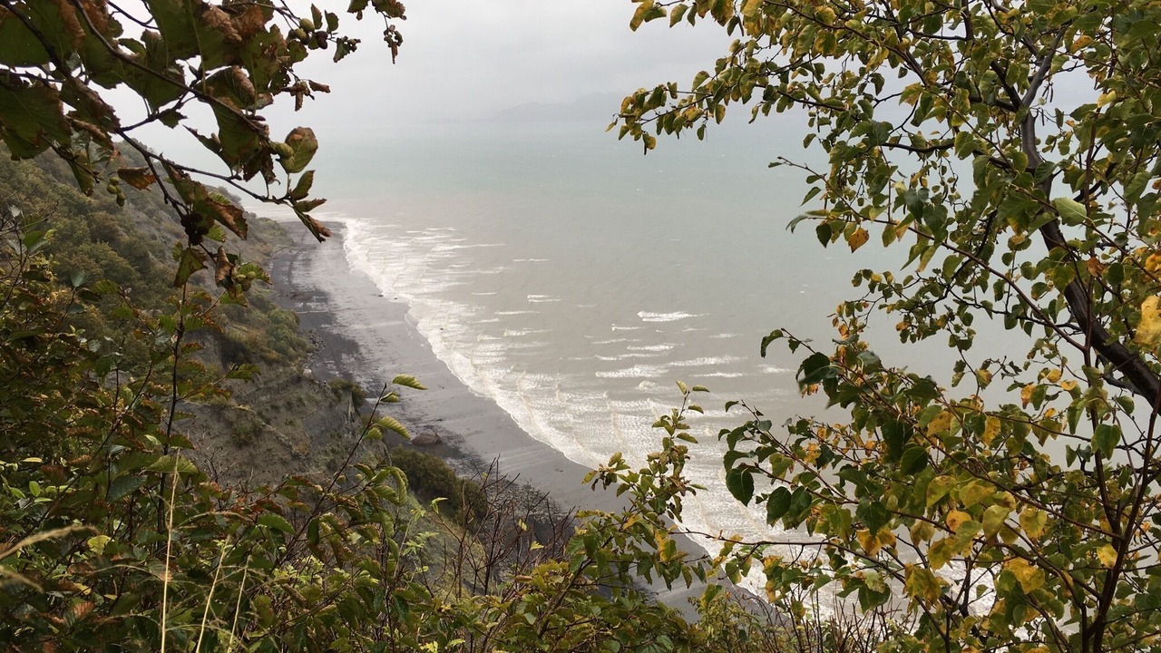 Photo of Others in Fritz Creek