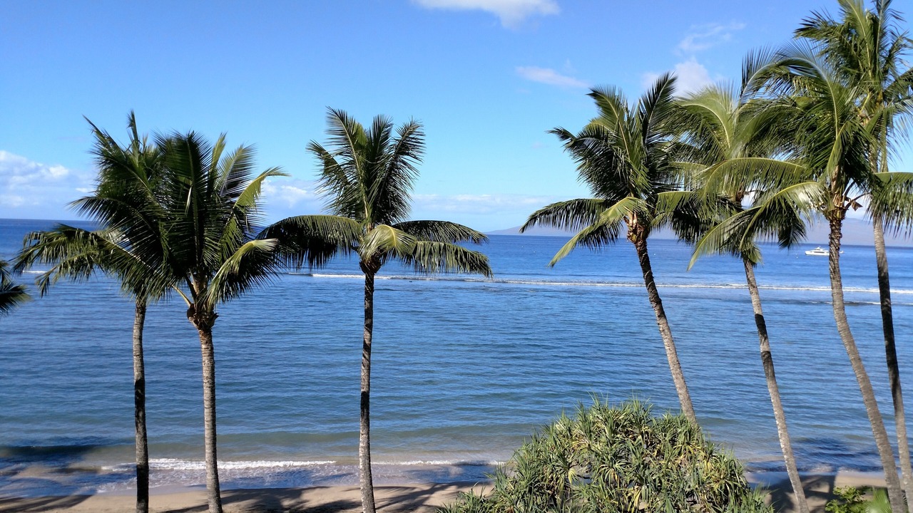 Photo of Others in Historic Lahaina Front Street