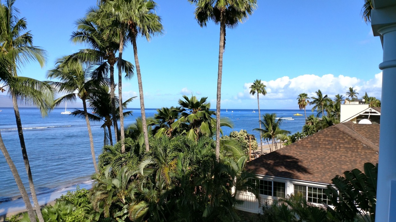 Photo of Others in Historic Lahaina Front Street