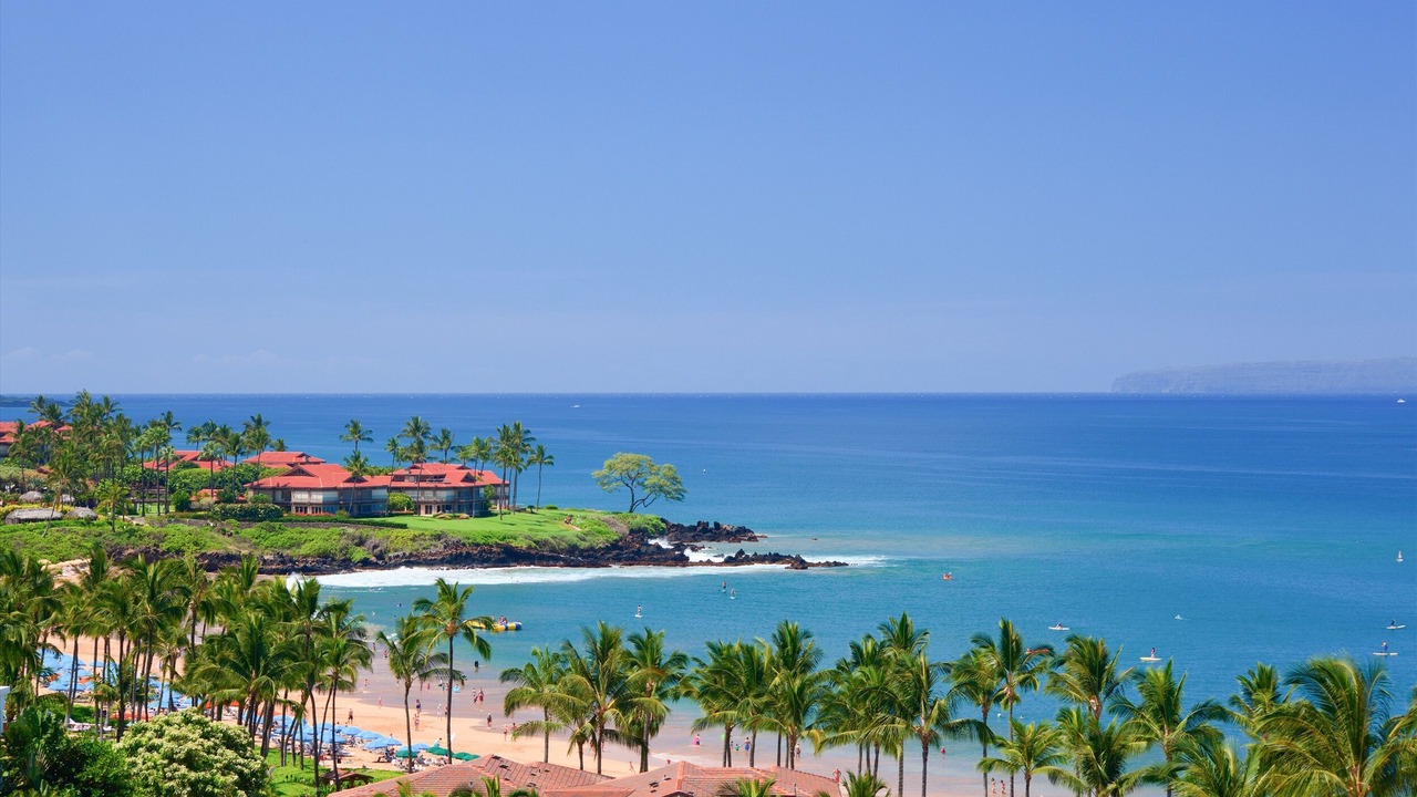 Photo of Others in Wailea