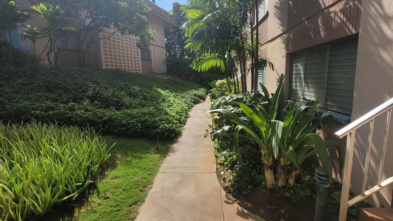 Photo of Others in Kihei