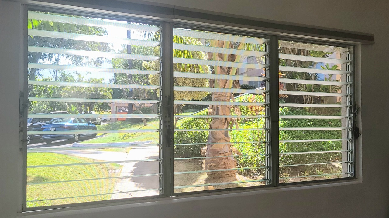 Photo of Others in Kihei