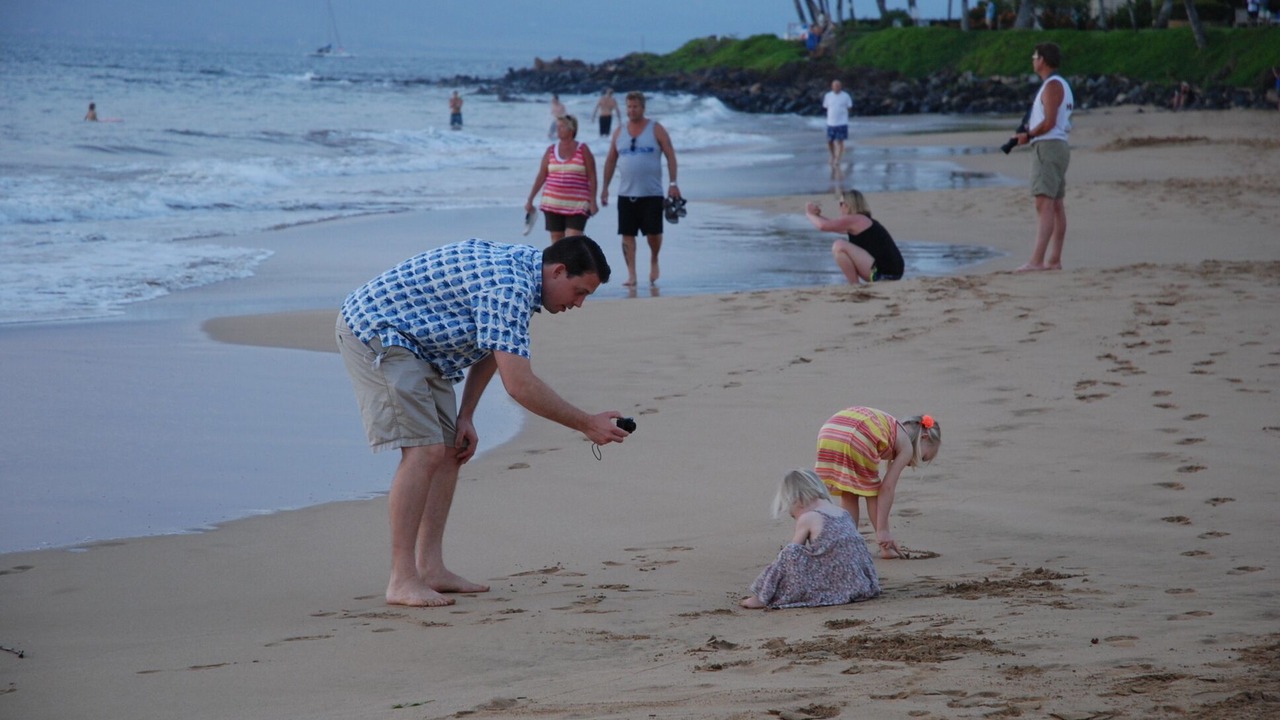 Photo of Others in Kihei