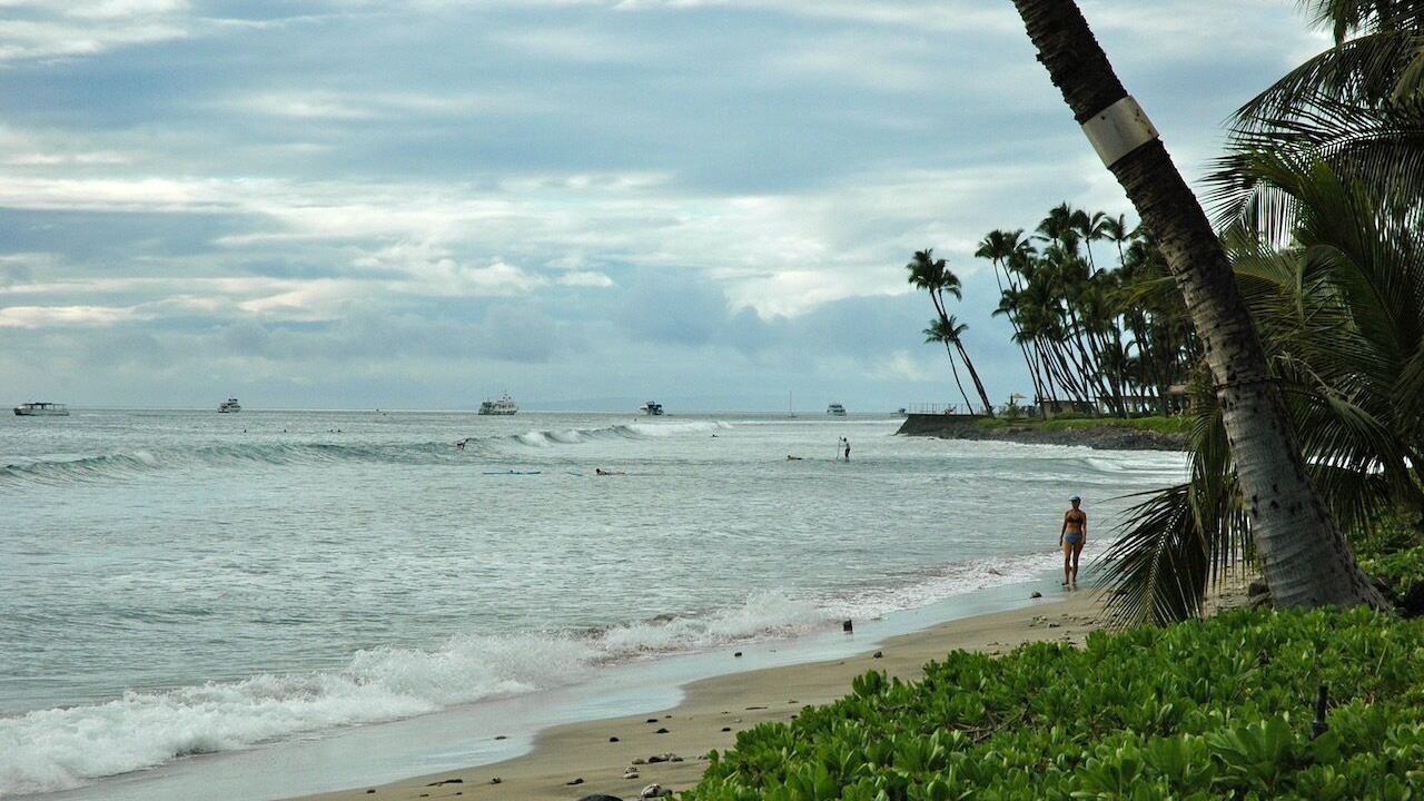 Photo of Others in Historic Lahaina Front Street