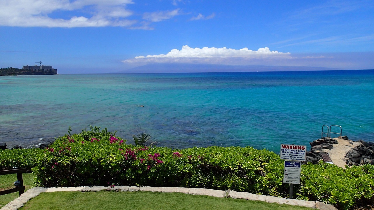 Photo of Others in Honokowai
