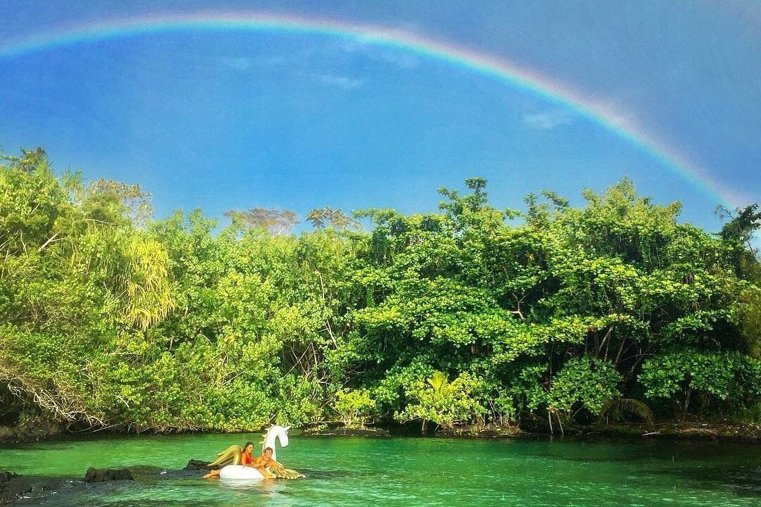Photo of Others in Hilo