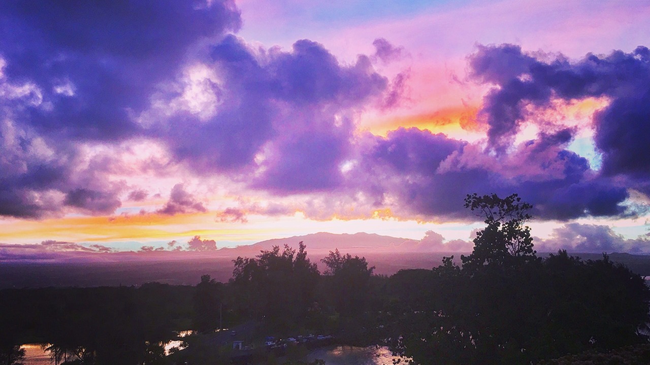 Photo of Others in Hilo