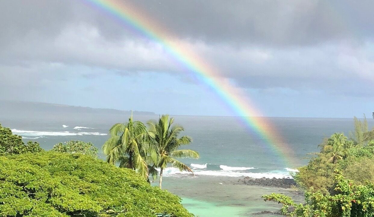 Photo of Others in Hilo