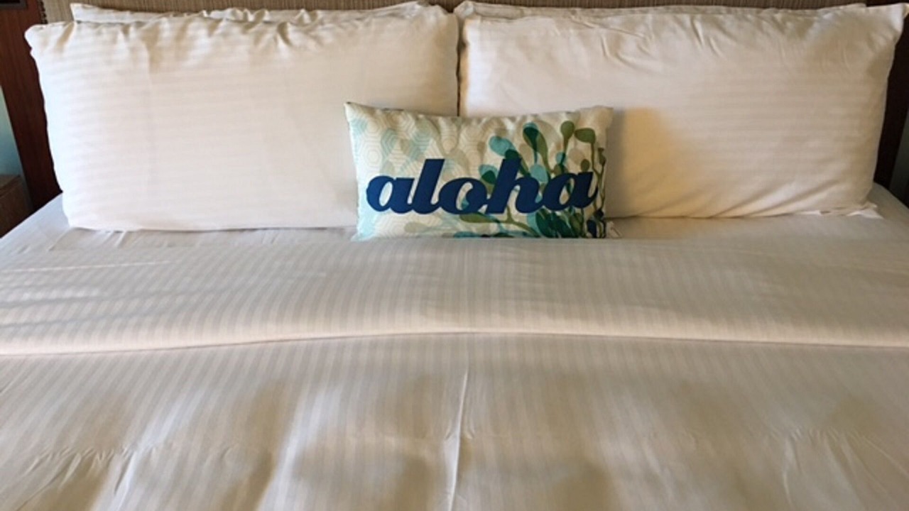 Photo of Bedroom in Mililani