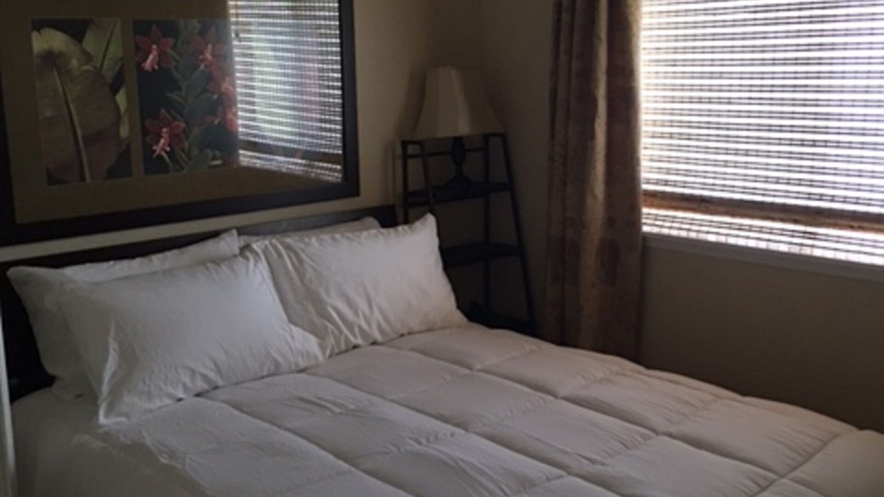 Photo of Bedroom in Mililani