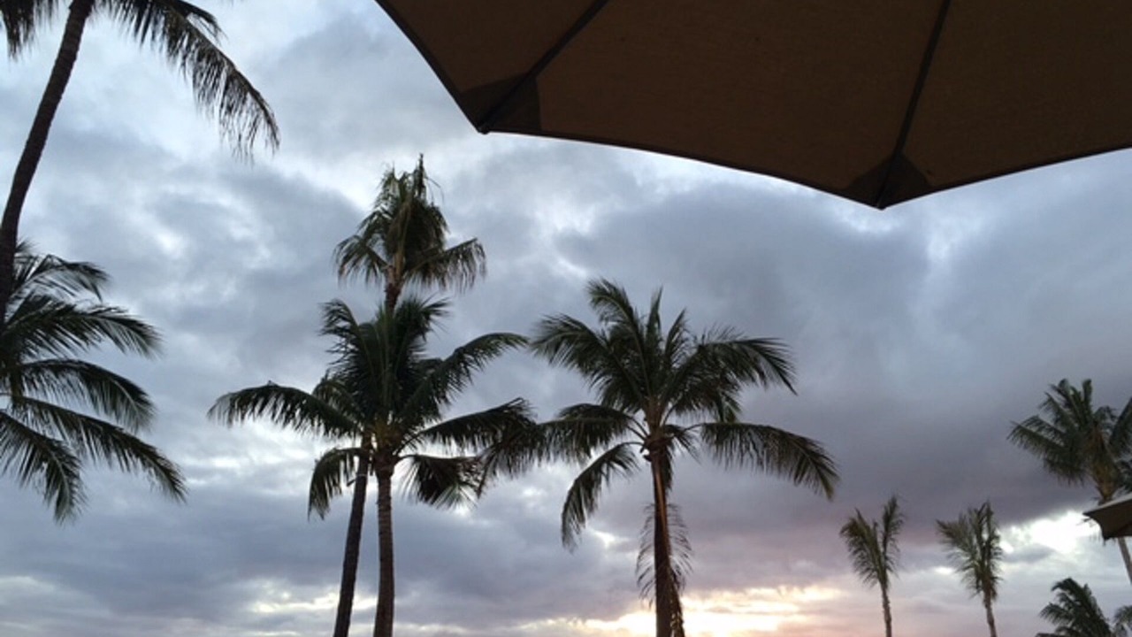 Photo of Outdoor in Mililani