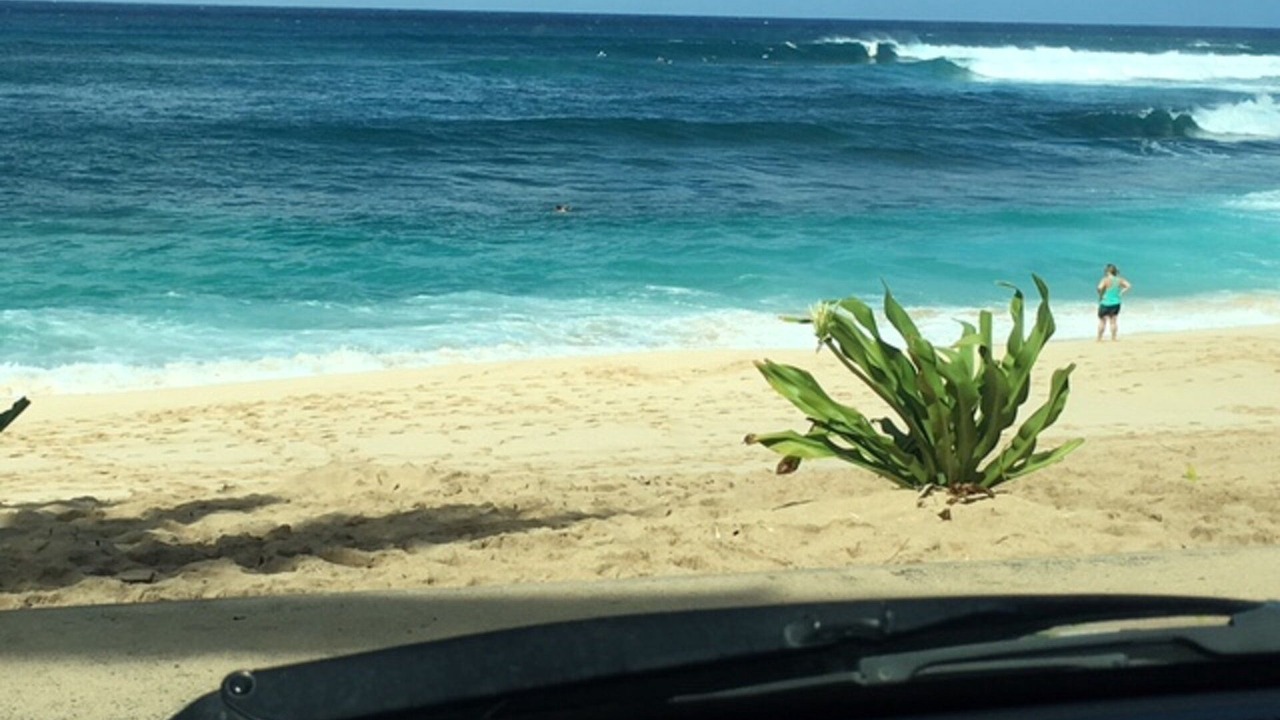 Photo of Others in Mililani