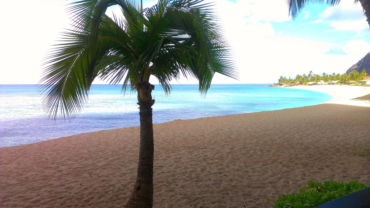 Photo of Others in Makaha